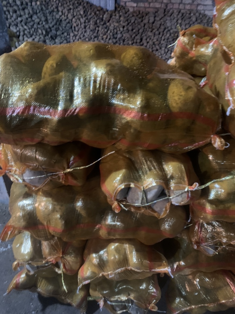 定西土豆大量批发.定西土豆长期出售.规格齐全、精选土豆