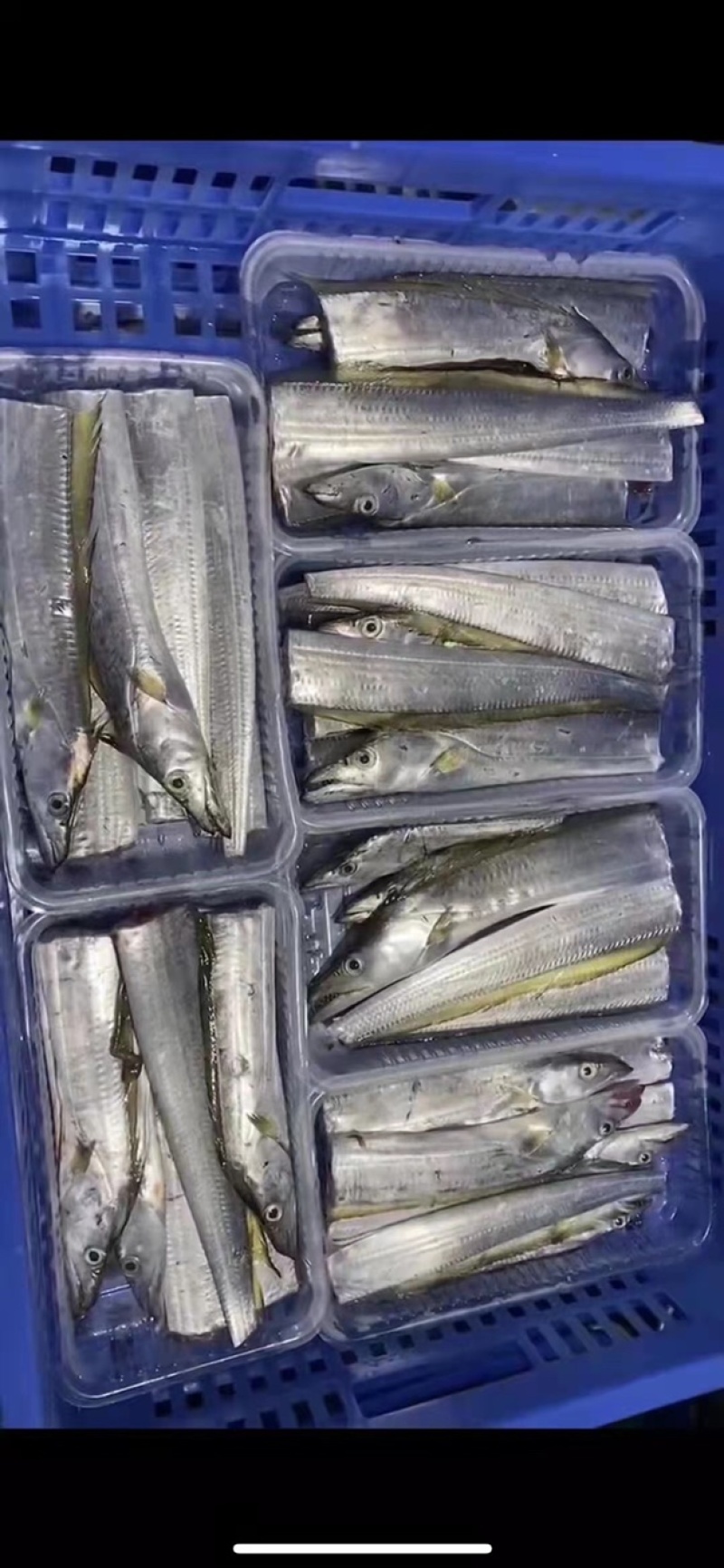海鲜干货