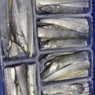海鲜干货