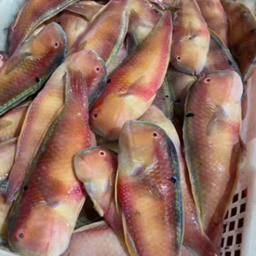 海鲜干货