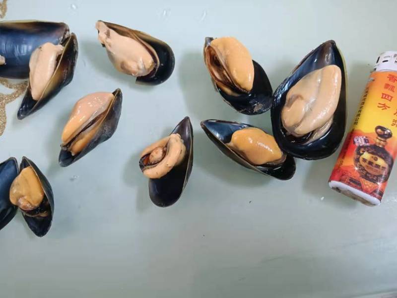 海虹淡菜贻贝码头直发可以一件代发