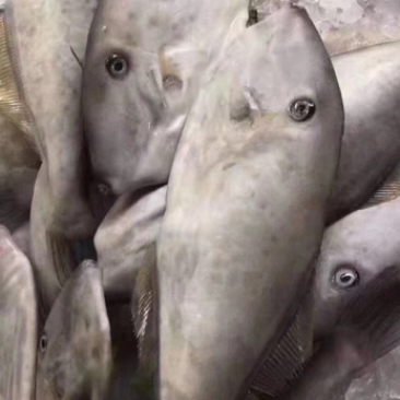 海鲜干货