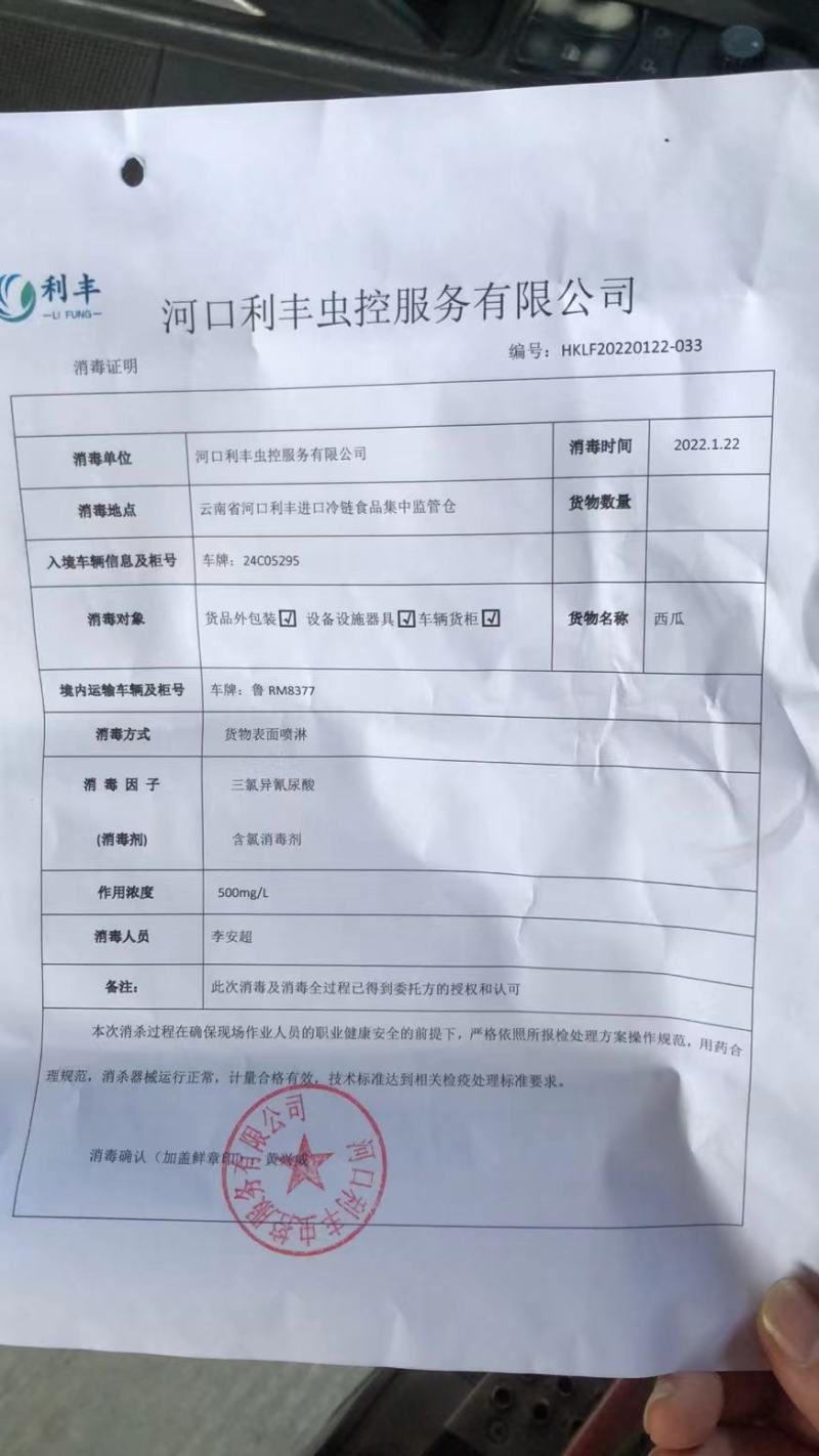 越南精品黑美人产地直发一手货源充足欢迎实地看货