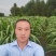 台湾甜象草种节种苗种植推广基地直供包邮到家