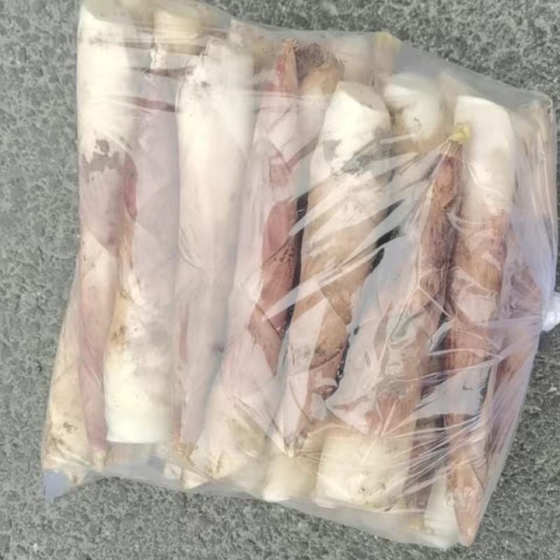 临安天目新鲜竹笋雷竹笋龙康竹笋中号五斤一箱包邮