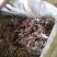 药名卷柏。本地名还魂草。天然生长在。悬崖上的。品质好，