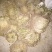 药名卷柏。本地名还魂草。天然生长在。悬崖上的。品质好，