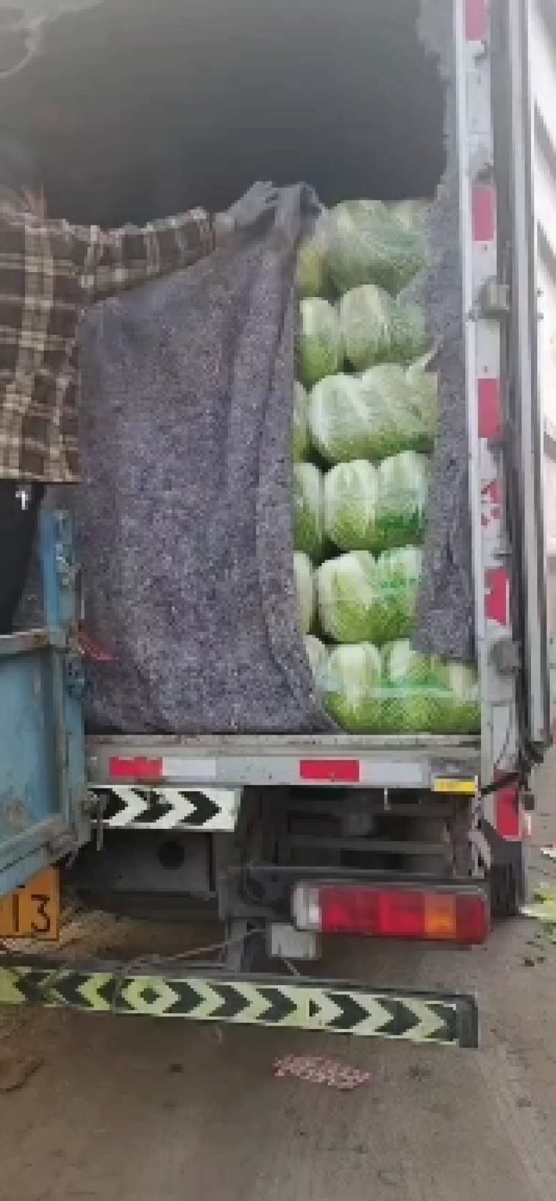 湖北天门矮棵黄心大白菜无虫眼无烧心无出台保质保量