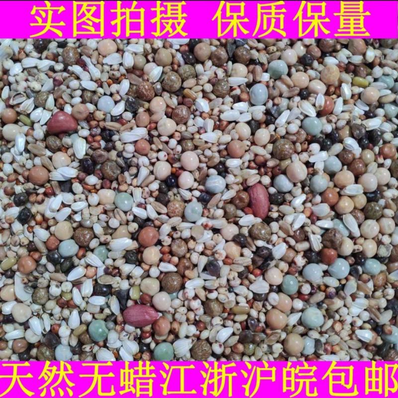 鸽子粮保健砂鸽子粮食粮良德易有玉米无玉鸽子粮信鸽肉鸽鸽粮