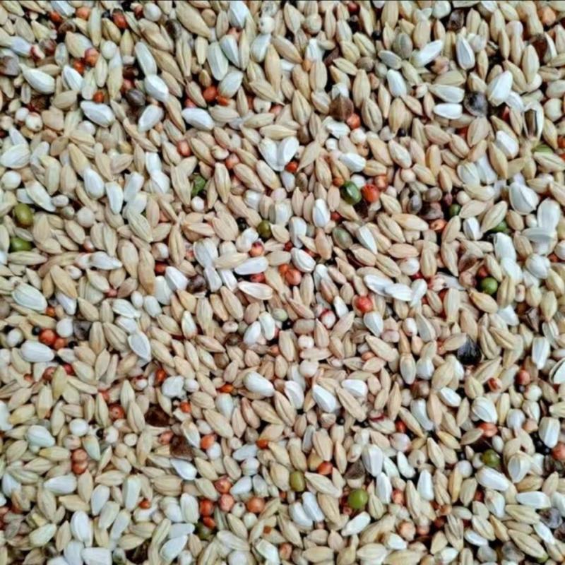 鸽子粮保健砂鸽子粮食粮良德易有玉米无玉鸽子粮信鸽肉鸽鸽粮