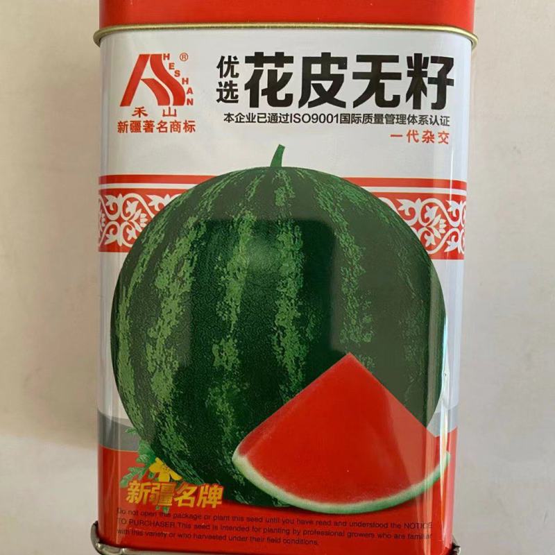 花皮无籽西瓜种子麒麟瓜大漠二号杂交一代早熟品种红瓤种子