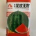 花皮无籽西瓜种子麒麟瓜大漠二号杂交一代早熟品种红瓤种子