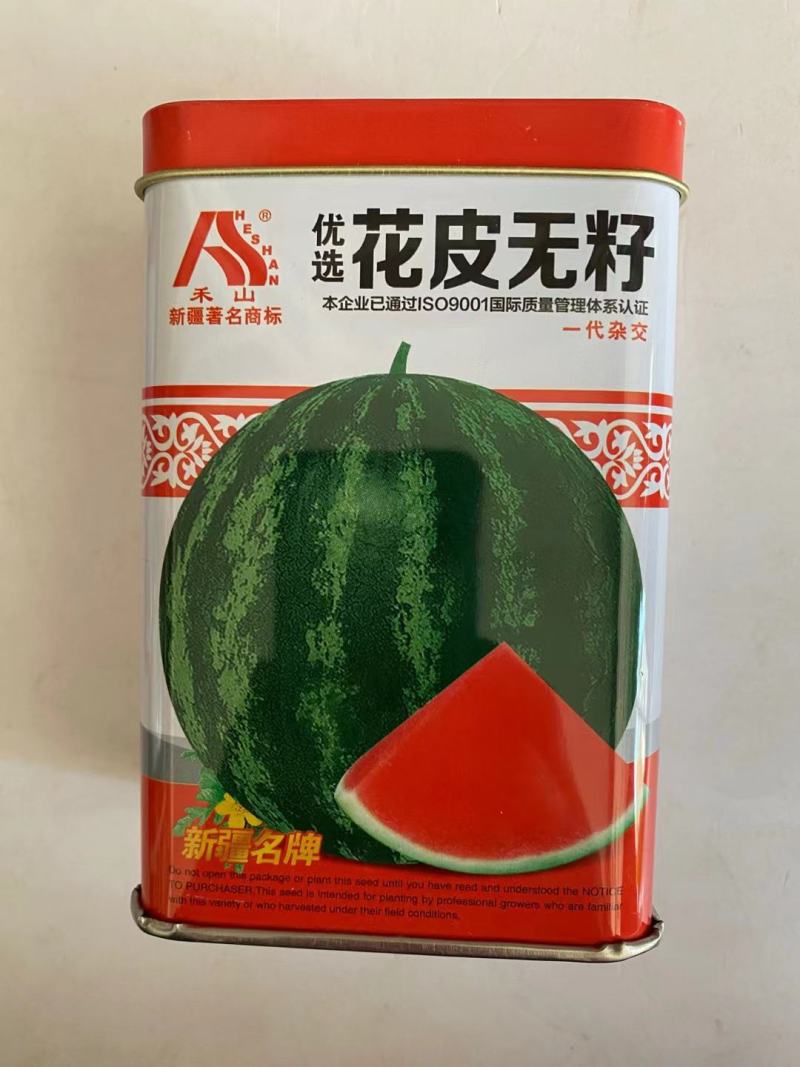 花皮无籽西瓜种子麒麟瓜大漠二号杂交一代早熟品种红瓤种子