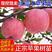 红富士苹果树苗条纹全红苹果树苗品种齐全基地直销