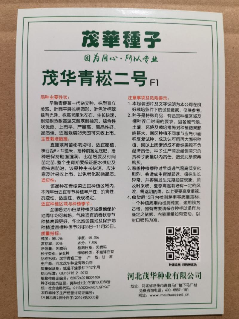 茂华青菘二号青梗菜种子，速生，耐湿耐寒，无纤维