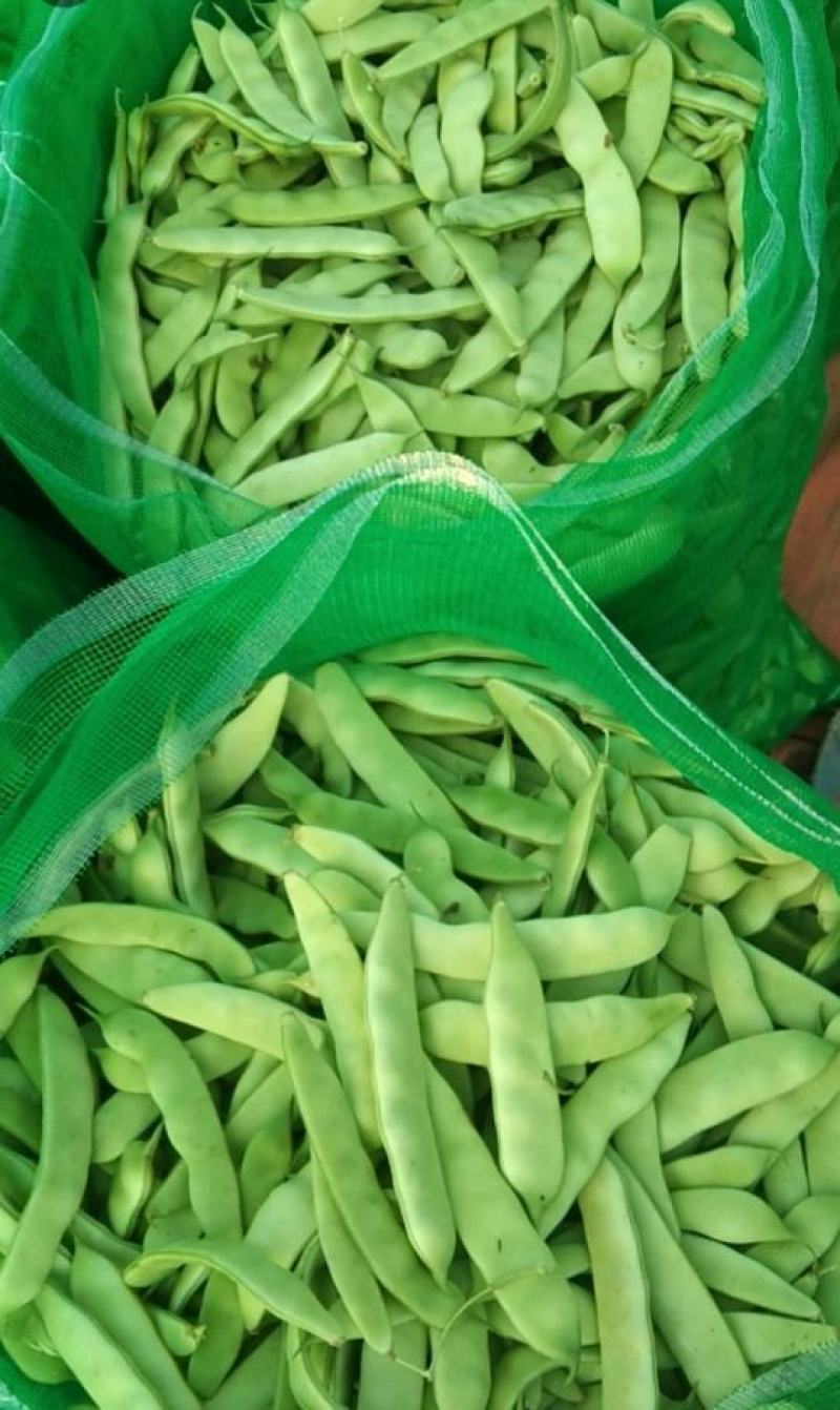 精品东北油豆角，质量保证，价格便宜，需要的订购