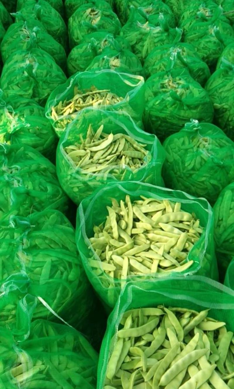 精品东北油豆角，质量保证，价格便宜，需要的订购