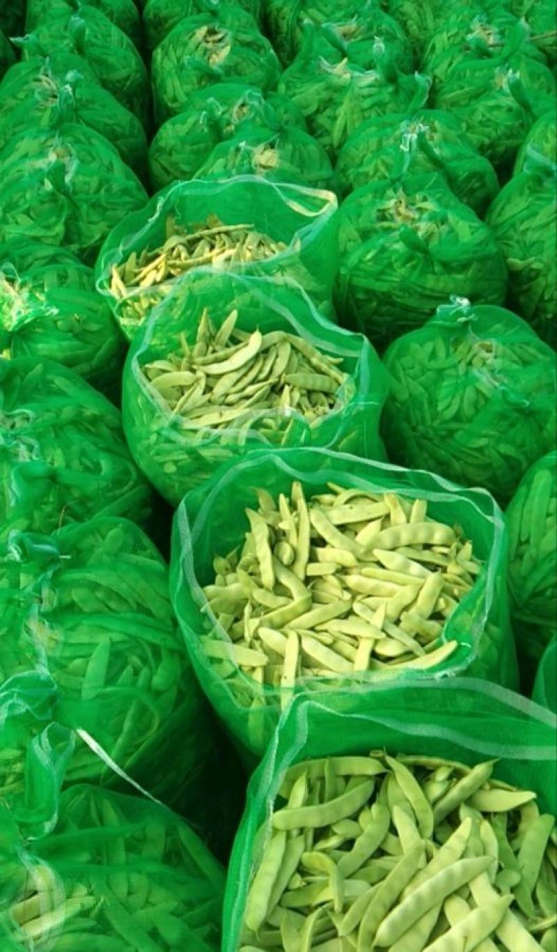 精品东北油豆角，质量保证，价格便宜，需要的订购