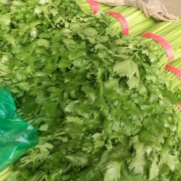 代收代卖各种精品疏菜