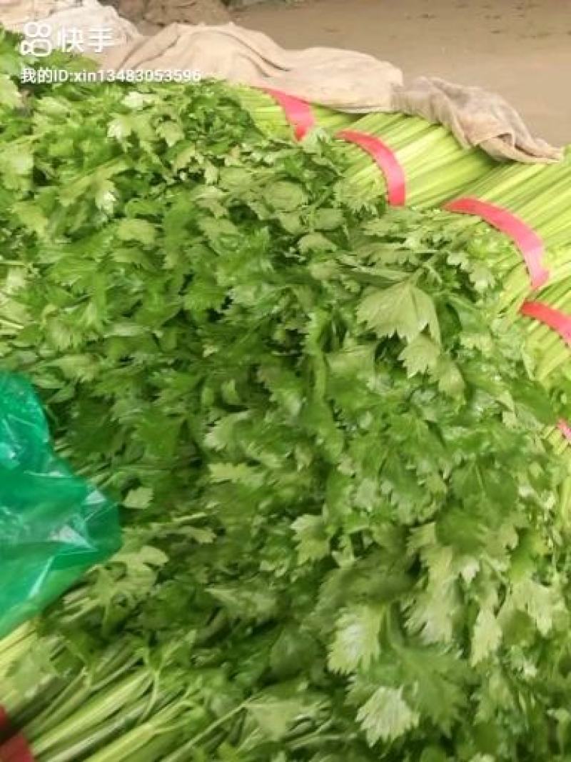 代收代卖各种精品疏菜