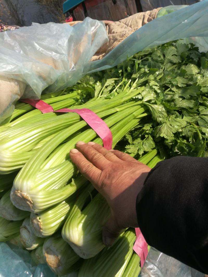 代收代卖各种精品疏菜