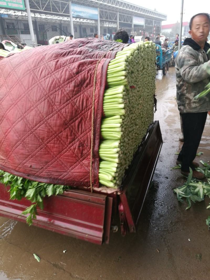 代收代卖各种精品疏菜