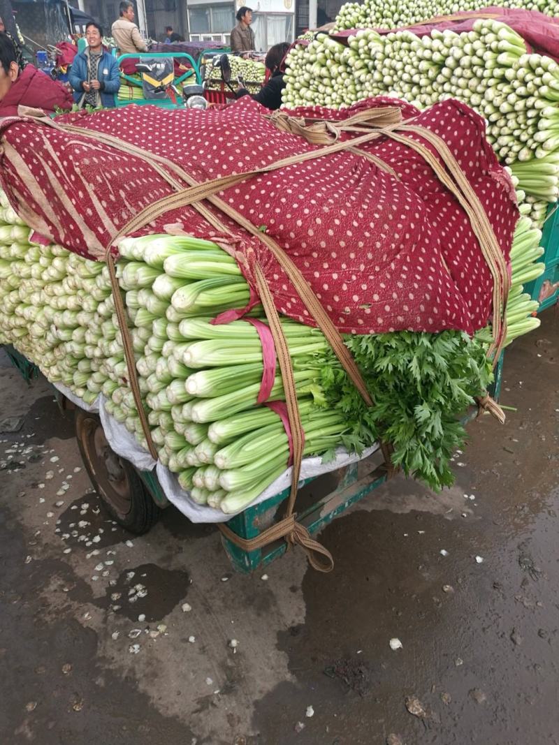 代收代卖各种精品疏菜