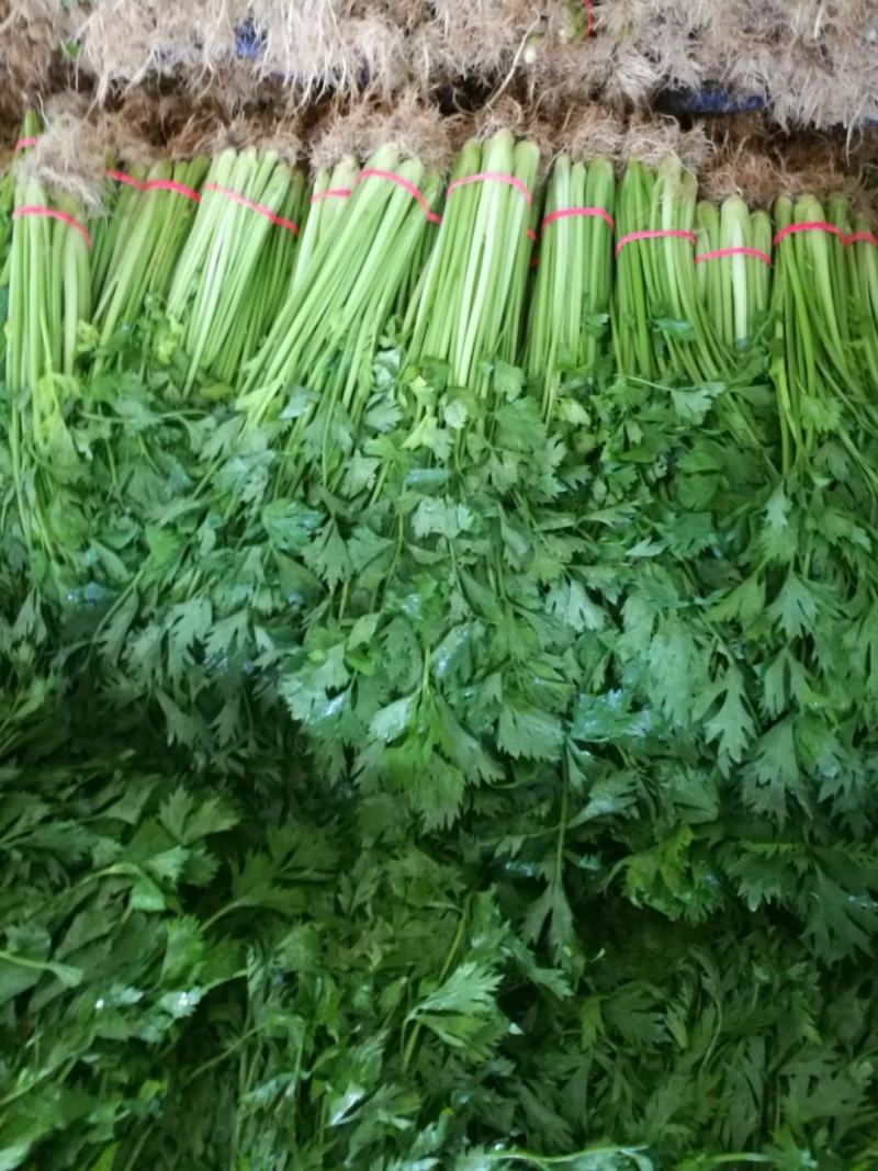 代收代卖各种精品疏菜