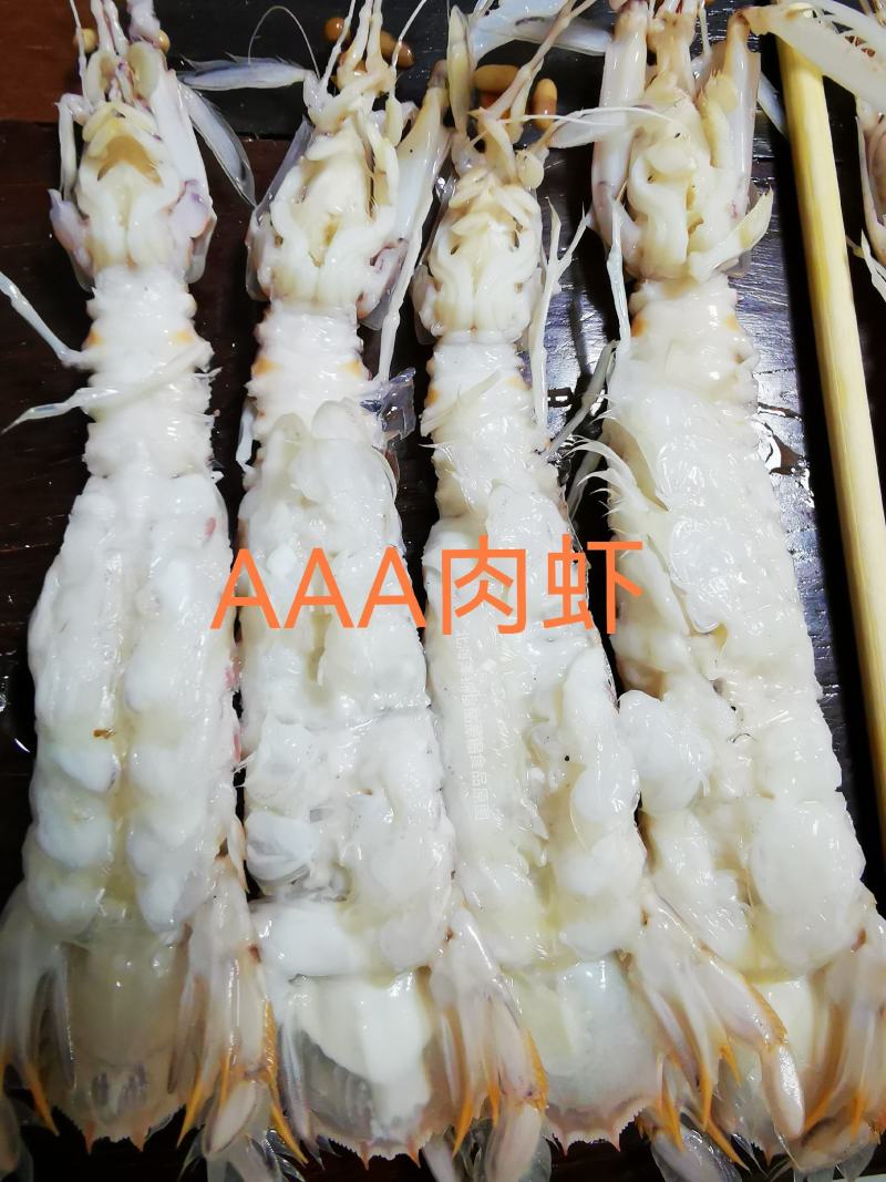爬爬虾濑尿虾皮皮虾(9-12只)活煮熟冻，工厂直销