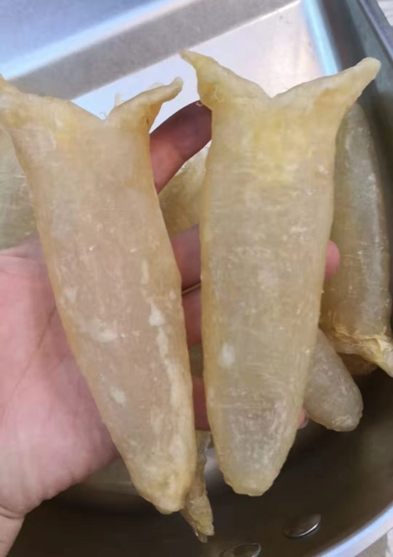 批发【30～40头左右鱼胶】筒胶泡发率高百姓吃得起的鱼胶