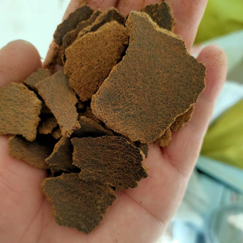 厂家精选优质货源大量优质玉米油饼加工精致价格低