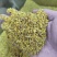 无硫桂花中药材干花可食用非特级干桂花泡茶烘焙干花
