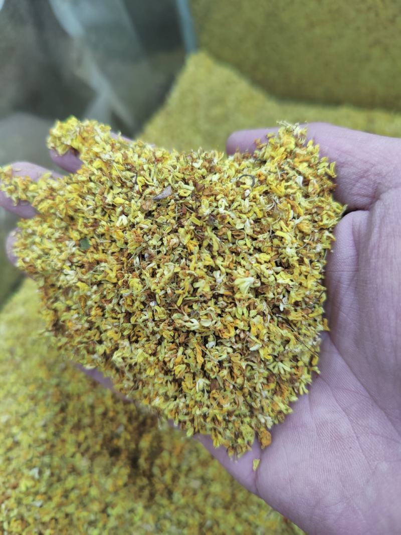 无硫桂花中药材干花可食用非特级干桂花泡茶烘焙干花