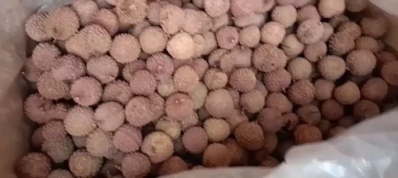 福建漳州正宗厂家产地桂味荔枝干，乌叶，兰竹荔枝干
