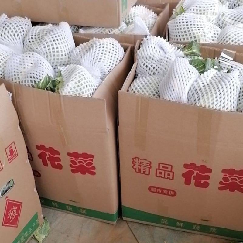 中国花菜，精品散花实花，提供各种包装，各种包装，代收代办