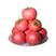 山东聊城西红柿弧二弧三规格齐全专业代办保质保量硬粉等品种