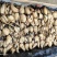 食用莲藕种苗种根池田高产大型蔬菜莲藕荷花苗粉脆籽藕种根苗