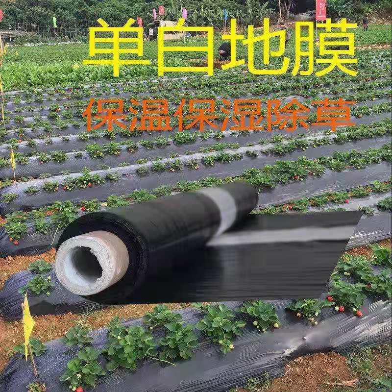 银黑双色地膜加厚防水白膜黑膜反光地膜覆盖除草保湿塑料薄膜