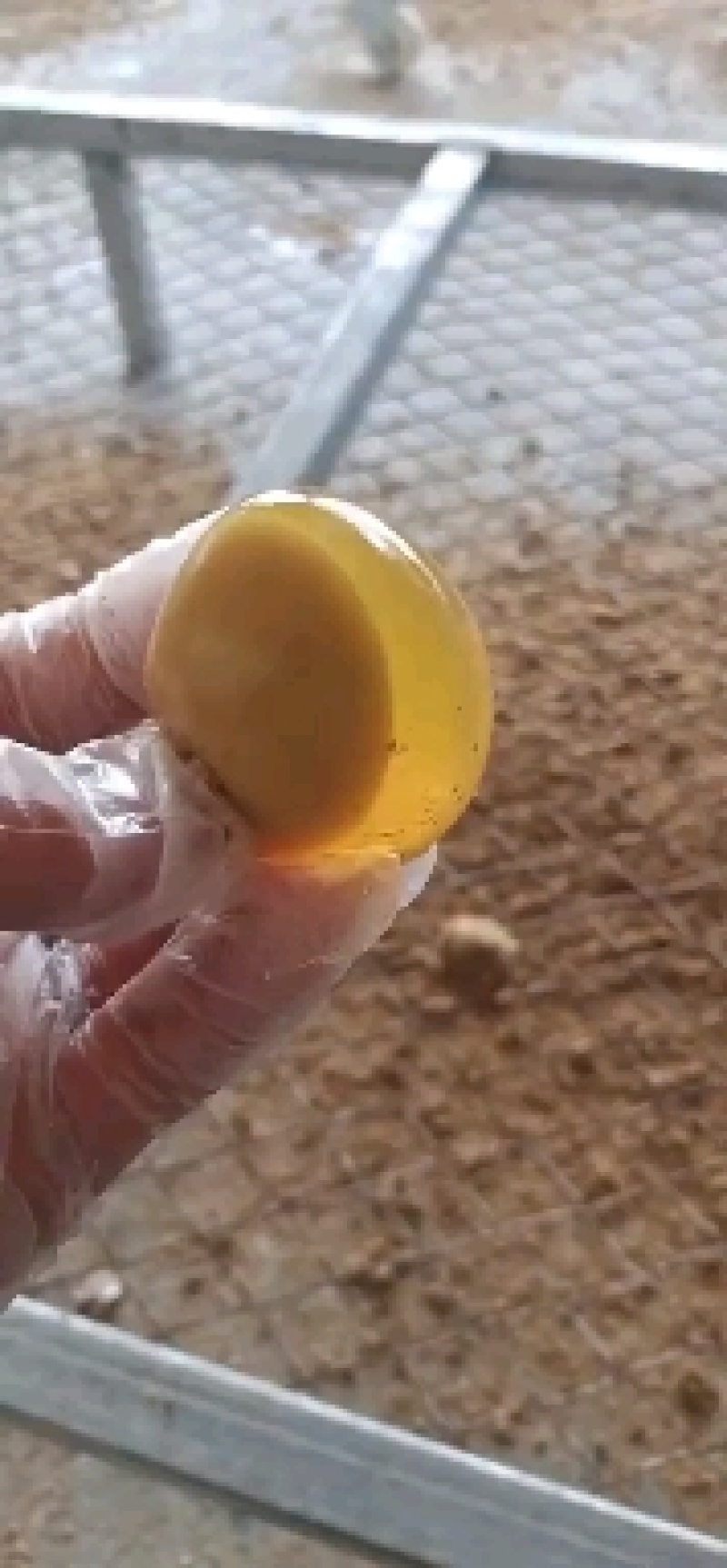 五香变蛋，鸡皮蛋，个大质量好，全国各地发货！