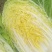 精品黄心大白菜净菜，456斤，质量保证，价格便宜，要的联