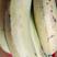 农家自种的香蕉5斤包邮应季水果软香甜非米蕉芭蕉红蕉。