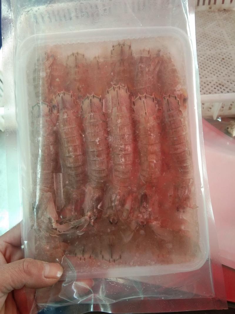 活冻皮皮虾，，