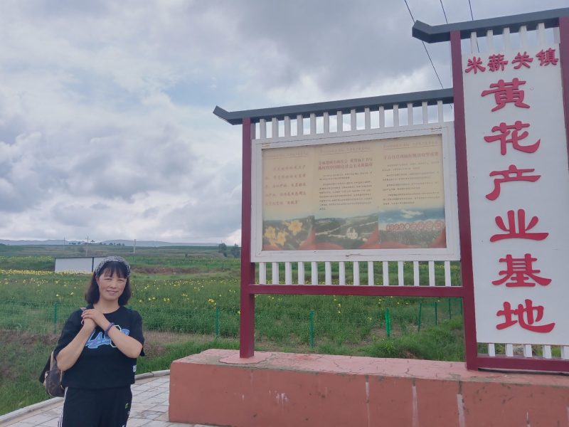 产地热销【黄花菜】山西万亩黄花基地。宋姐采摘直销！