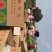 来自中国大陆最南端，长寿之乡广东省徐闻县大叶韭菜绿色食品