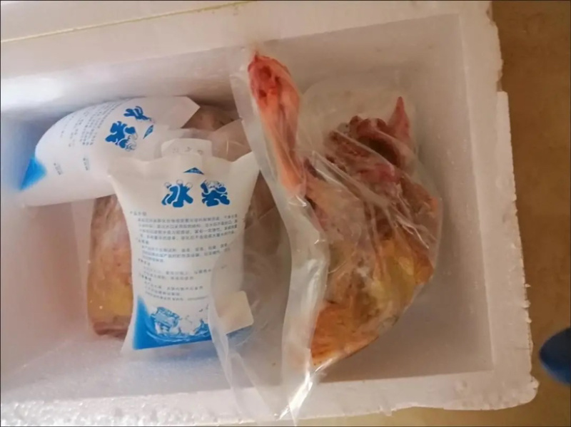 乳鸽原粮乳鸽白条鸽老鸽子长期供应厂家批发