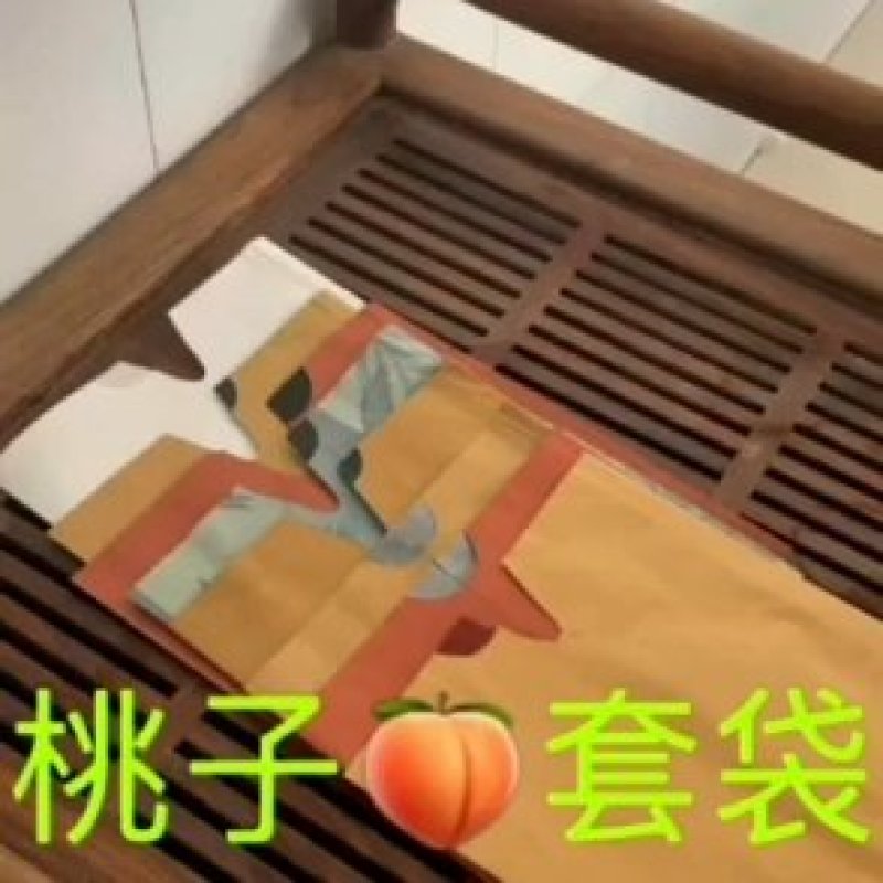 桃子套袋各种规格桃子套袋早熟晚熟单双层防水防鸟防虫