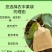 桃子套袋各种规格桃子套袋早熟晚熟单双层防水防鸟防虫