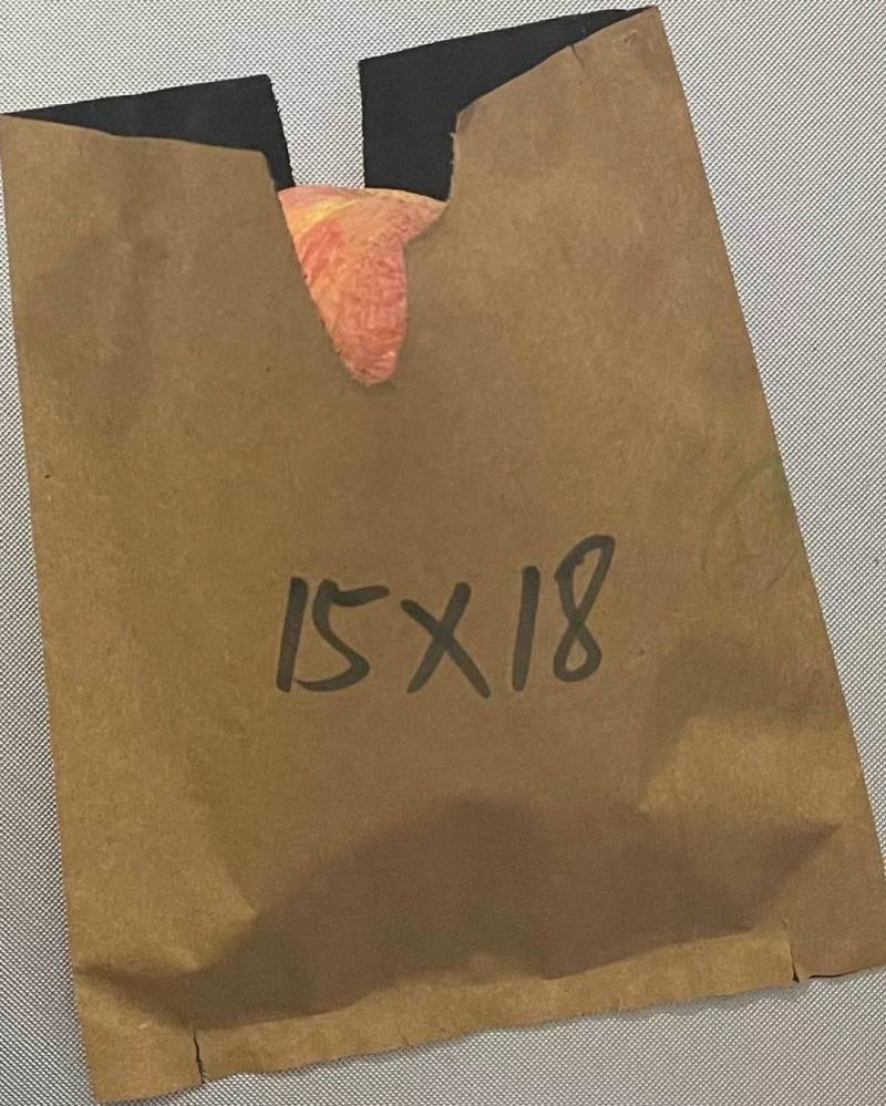 桃子套袋各种规格桃子套袋早熟晚熟单双层防水防鸟防虫