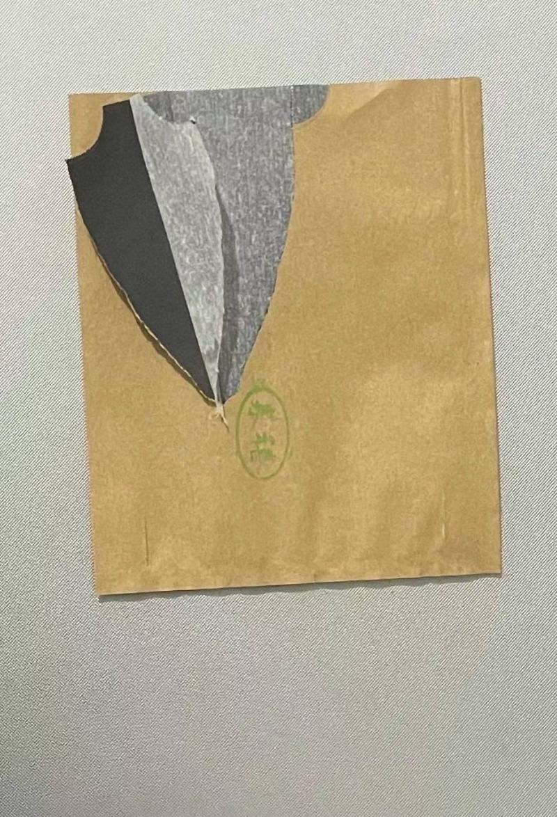 桃子套袋各种规格桃子套袋早熟晚熟单双层防水防鸟防虫