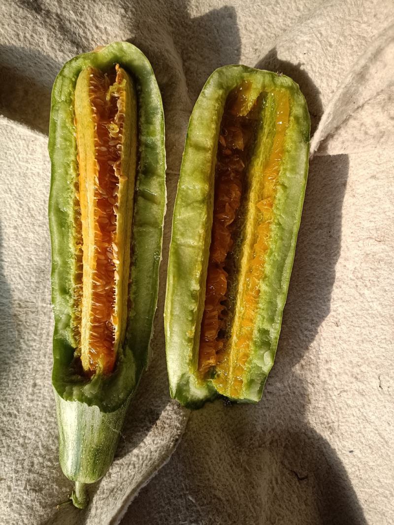羊角蜜